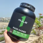 مس گینر رول وان 2.6 کیلوگرم طرح جدید