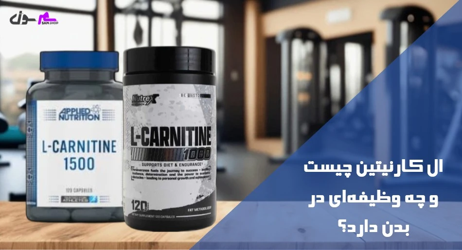 ال کارنیتین چیست و چه وظیفهای در بدن دارد؟