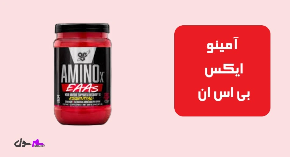 آمینو ایکس بی اس ان (BSN AMINOx Endurance & Recovery)