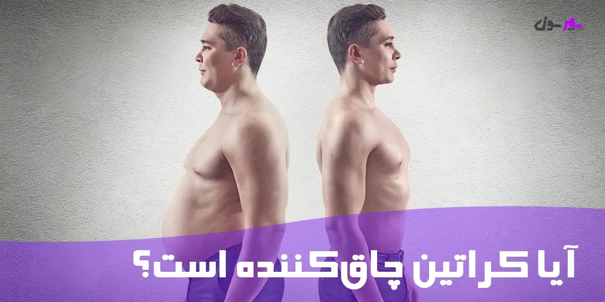 آیا کراتین چاق کننده است؟