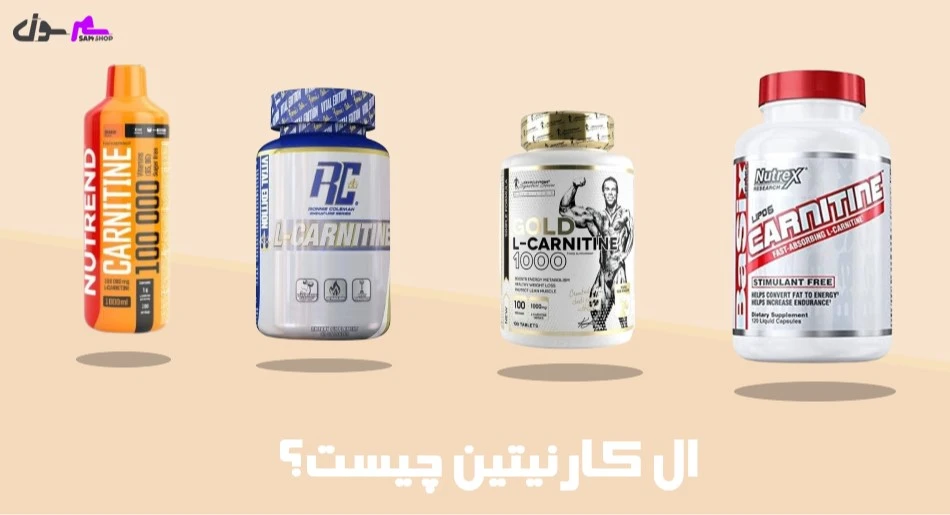 ال کارنیتین چیست؟