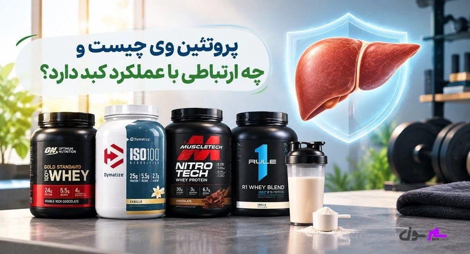 پروتئین وی چیست و چه ارتباطی با عملکرد کبد دارد؟